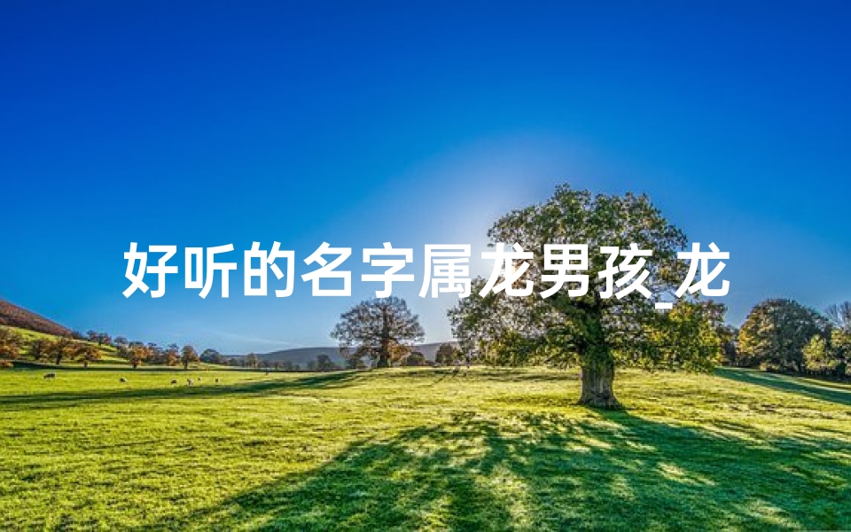 好听的名字属龙男孩_龙腾盛世,悦耳童音——属龙男孩的温馨命名记