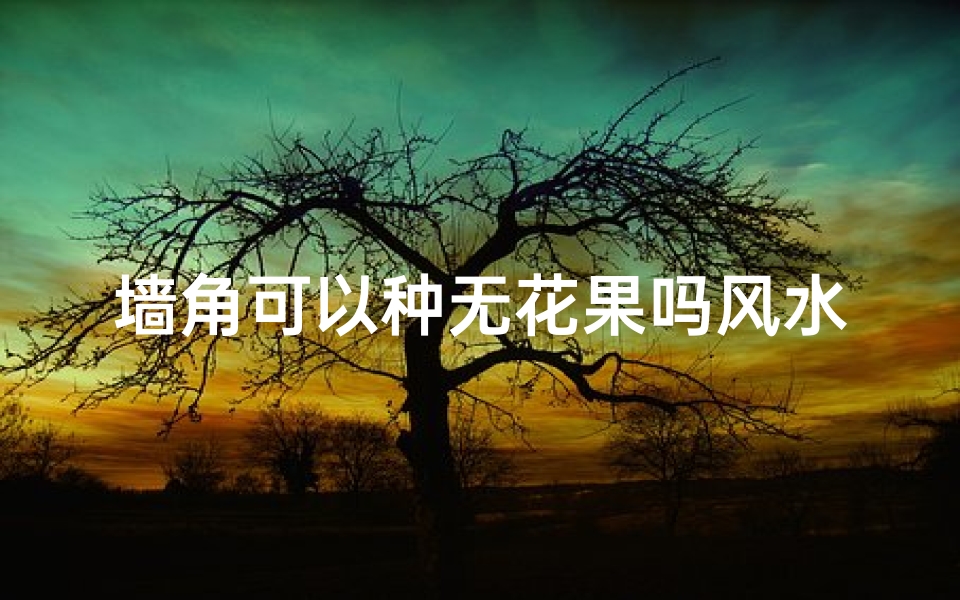 墙角可以种无花果吗风水;墙角种无花果风水奥秘揭秘