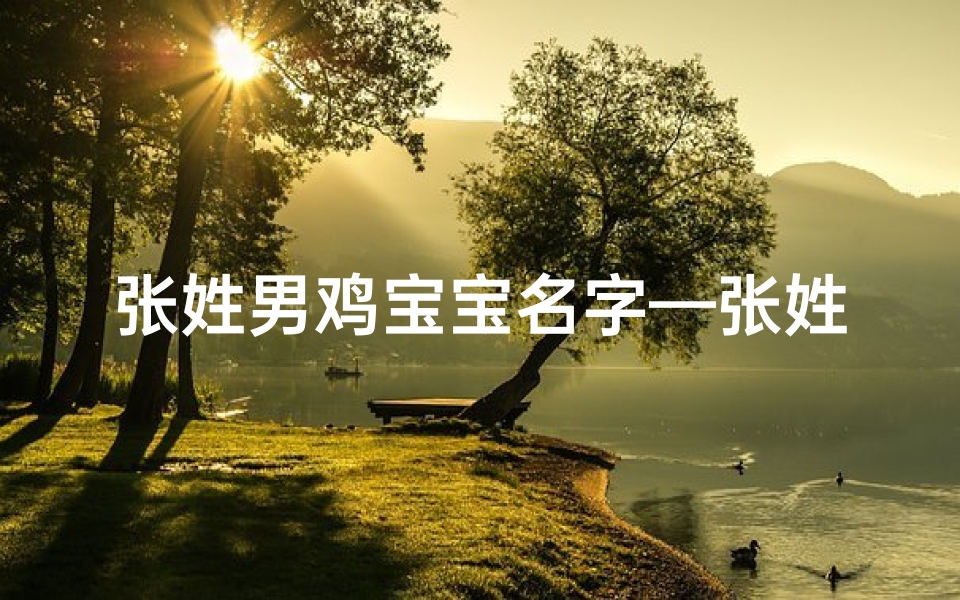 张姓男鸡宝宝名字—张姓男孩属鸡宜用的字