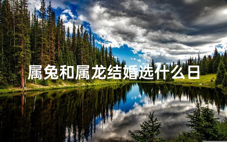 属兔和属龙结婚选什么日子好,属兔属龙喜结良缘,择吉日良辰大婚盛典