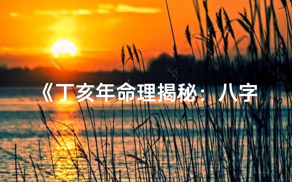 《丁亥年命理揭秘:八字解析人生运势》