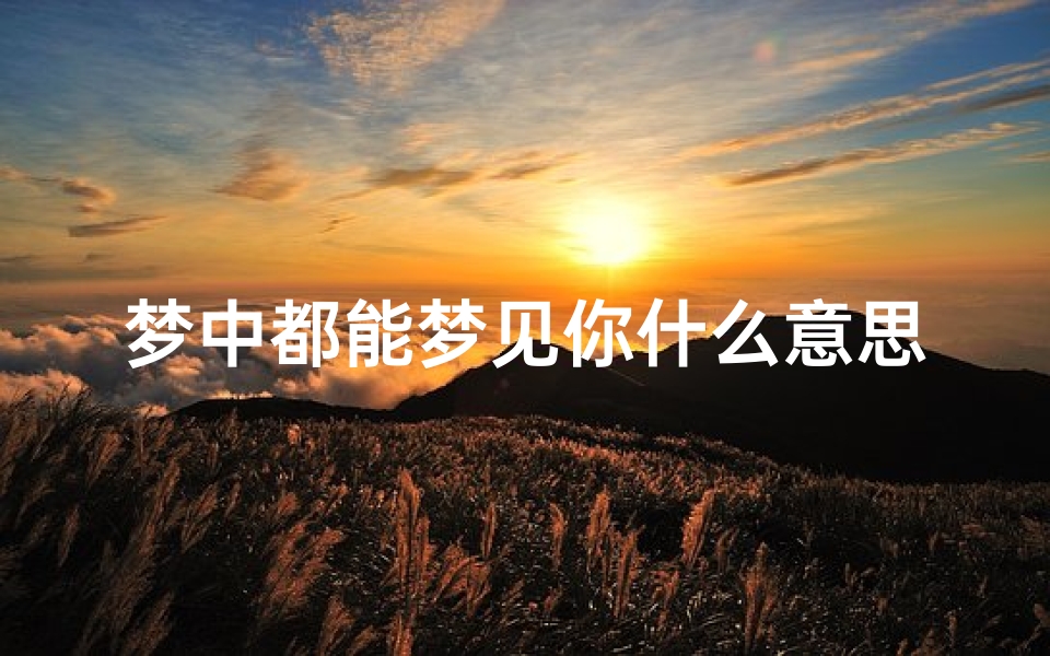 梦中都能梦见你什么意思,梦里都能遇见你