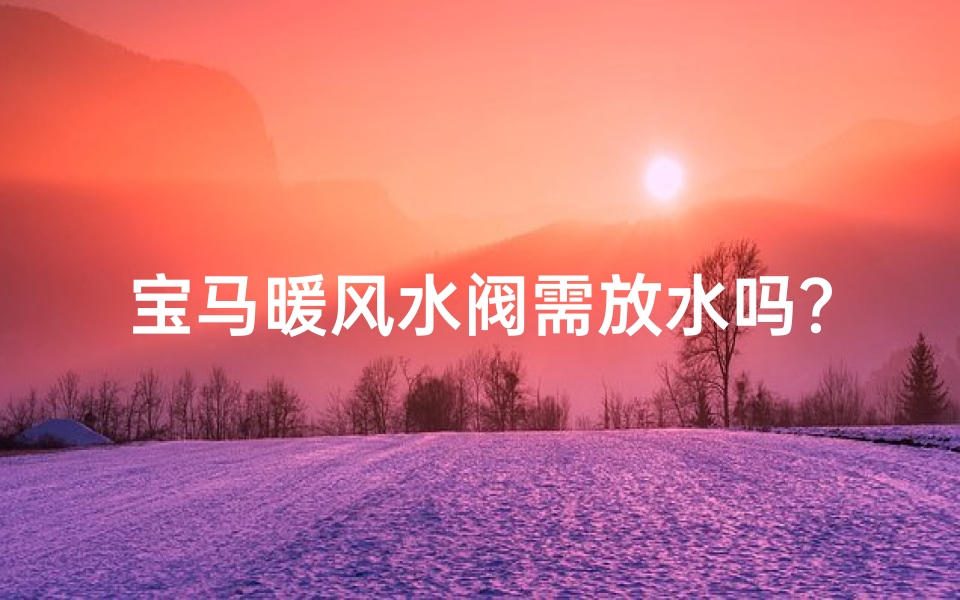 宝马暖风水阀需放水吗?使用指南揭秘