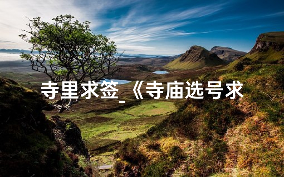寺里求签_《寺庙选号求签:探寻神秘缘分之旅》-海瑞算卦网