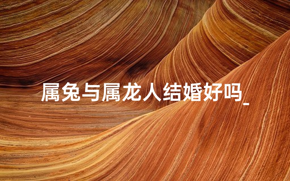 属兔与属龙人结婚好吗_属兔和属龙的结婚有过的幸福的吗