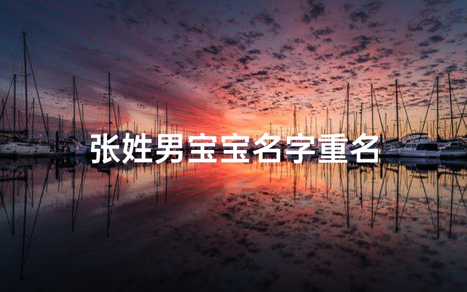 张姓男宝宝名字重名