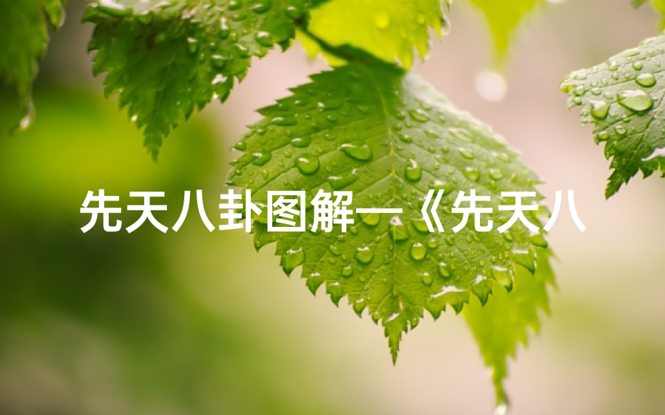 先天八卦图解—《先天八卦吉凶判断口诀图解秘》