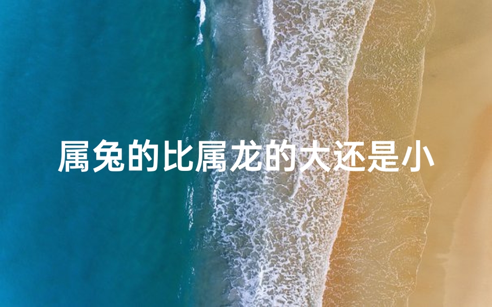 属兔的比属龙的大还是小,属兔属龙谁更大?一探究竟