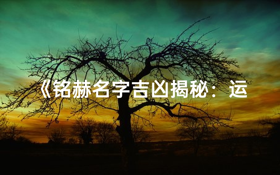 《铭赫名字吉凶揭秘:运势好坏一探究竟》