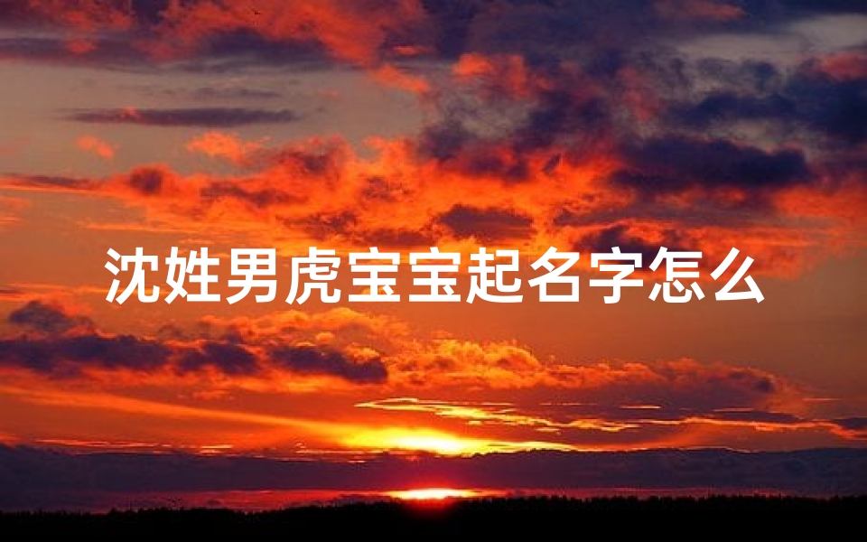 沈姓男虎宝宝起名字怎么起