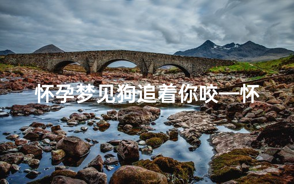 怀孕梦见狗追着你咬—怀孕梦见狗追着咬没咬到是什么意思