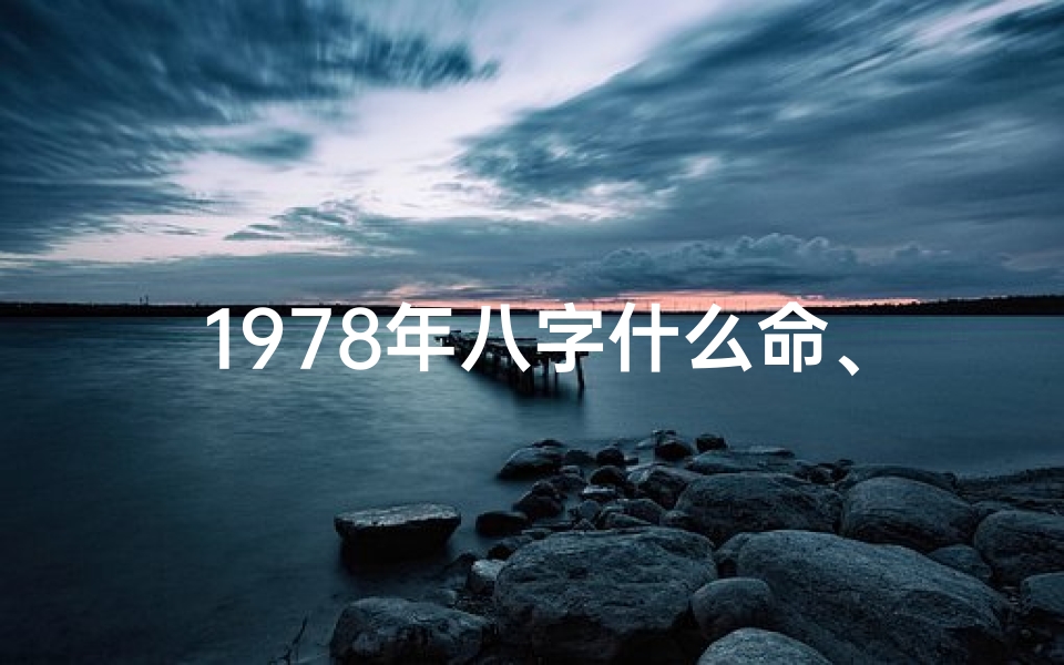1978年八字什么命、1978年八字属什么