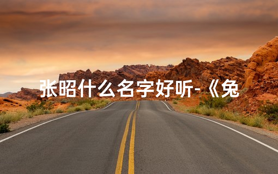张昭什么名字好听-《兔宝宝张昭:吉祥如意,未来可期》