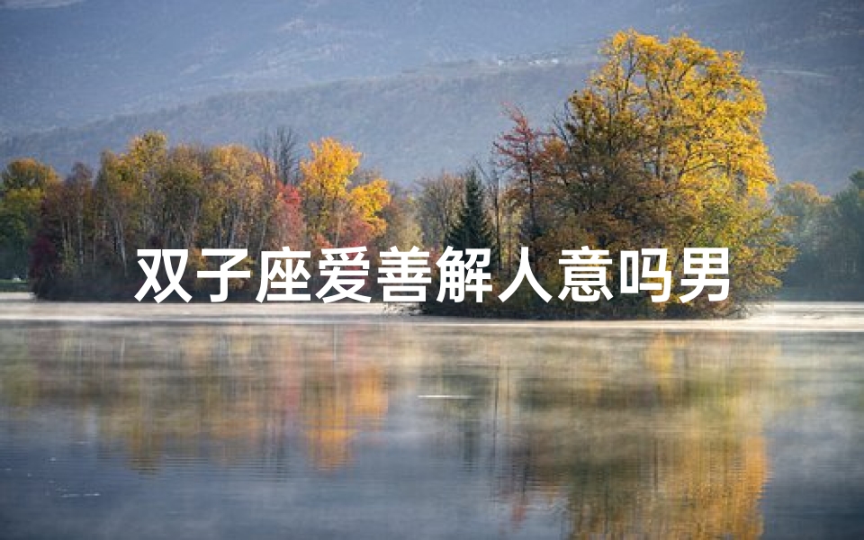 双子座爱善解人意吗男