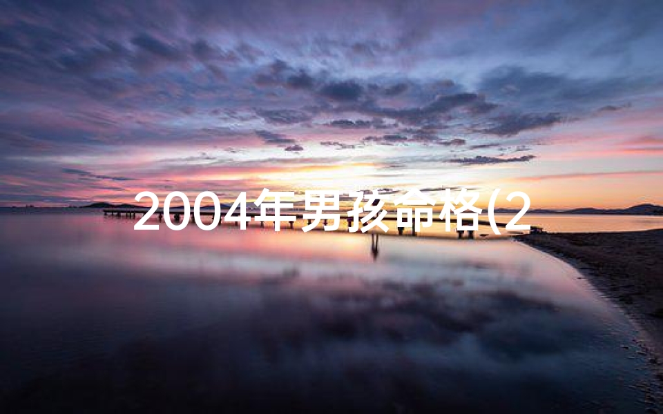 2004年男孩命格(2004年男孩什么命)