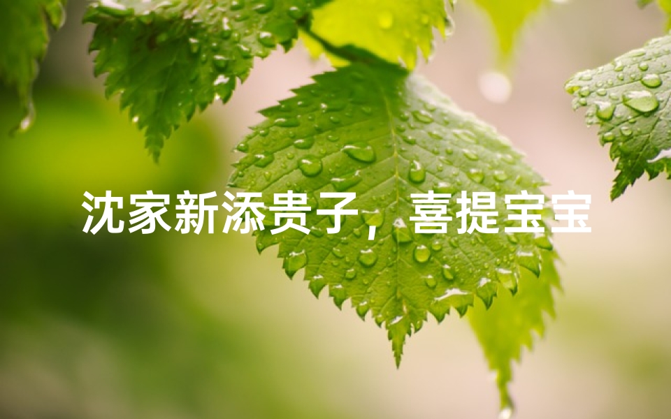 沈家新添贵子,喜提宝宝美名:沈瑞轩成长记