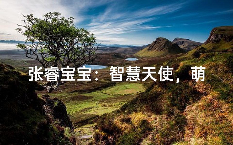 张睿宝宝:智慧天使,萌动人心