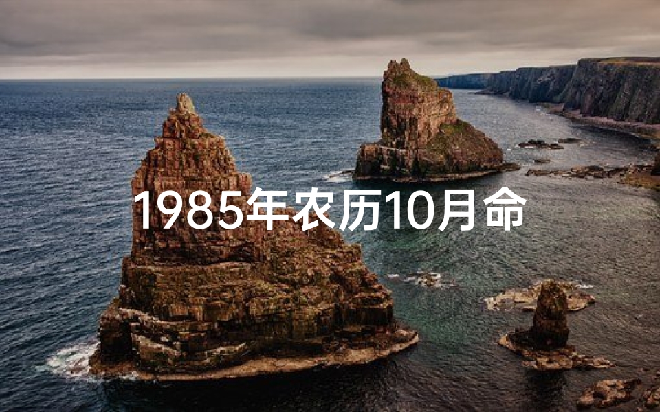 1985年农历10月命格(1985年农历10月份出生的牛是什么命)