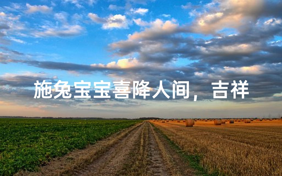 施兔宝宝喜降人间,吉祥男孩名字大揭晓