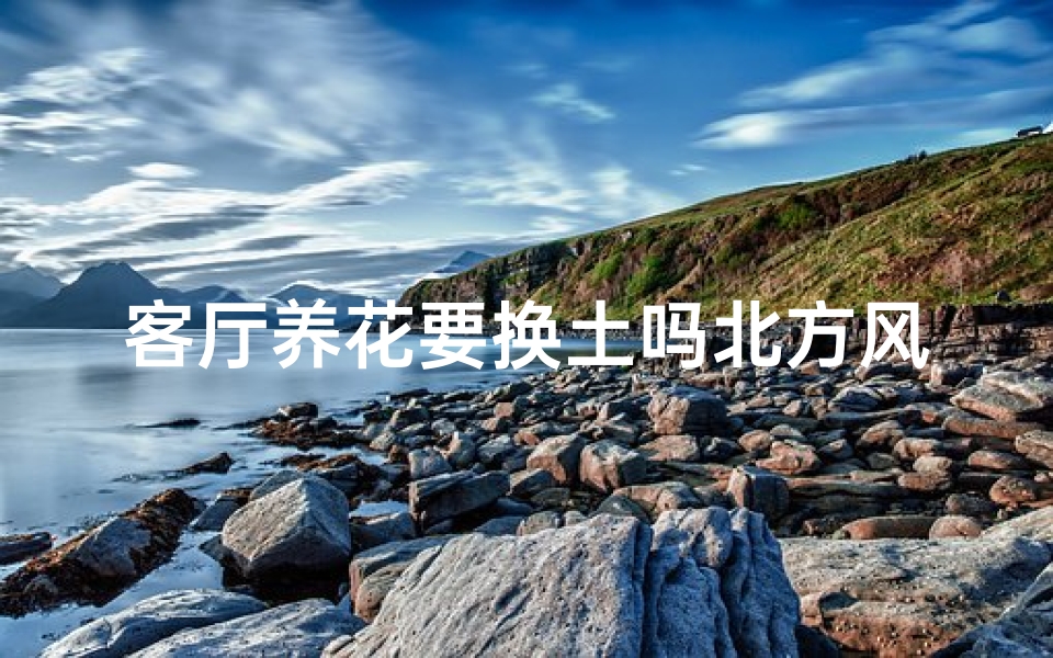 客厅养花要换土吗北方风水好吗—北方风水客厅养花,换土有讲究