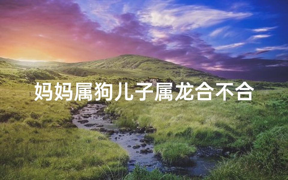 妈妈属狗儿子属龙合不合,龙子犬母情:母子生肖缘结一家亲