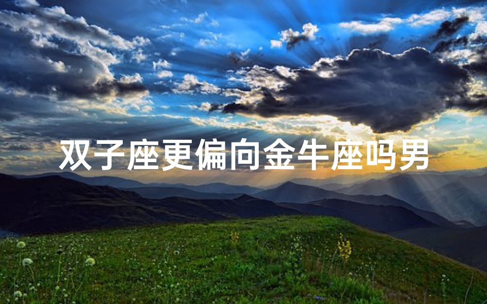 双子座更偏向金牛座吗男生,双子座更偏向金牛座吗男生性格