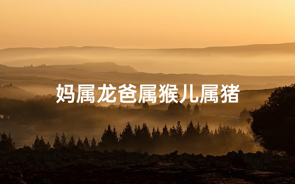妈属龙爸属猴儿属猪