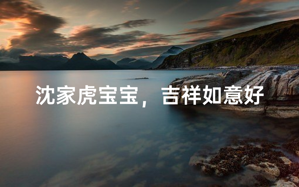 沈家虎宝宝,吉祥如意好名字