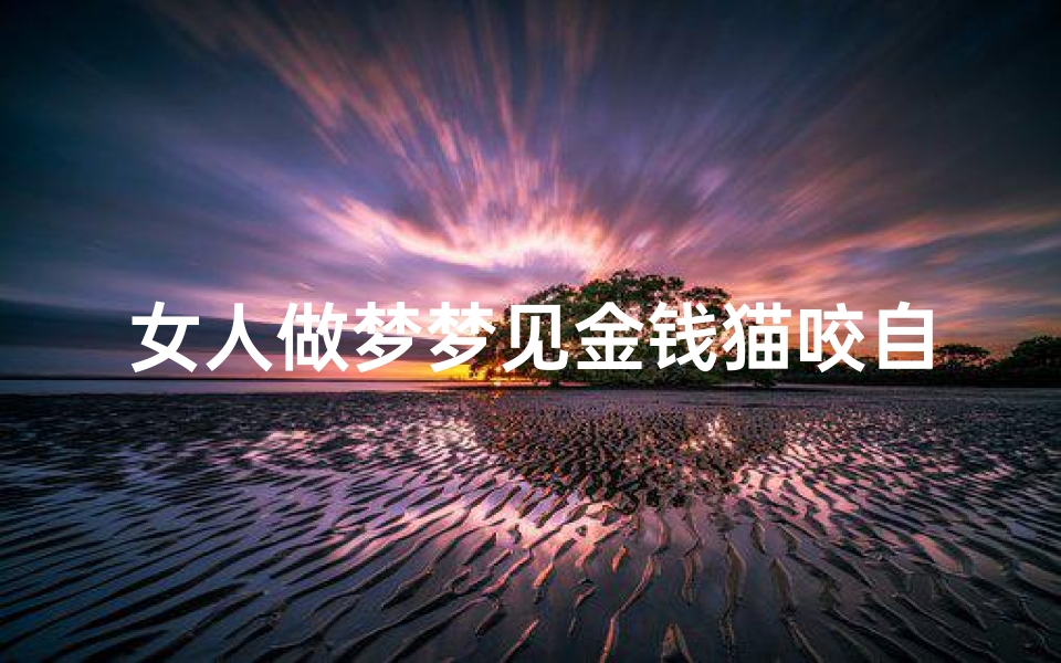 女人做梦梦见金钱猫咬自己(梦见钱被猫叼走了)
