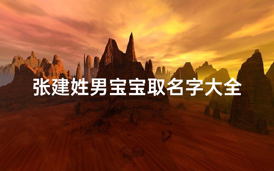 张建姓男宝宝取名字大全