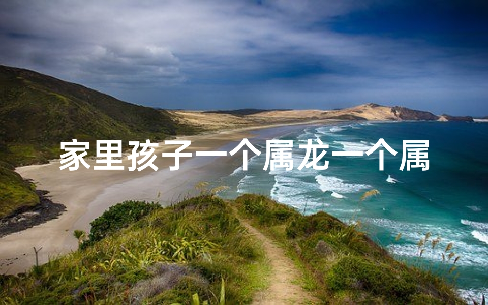 家里孩子一个属龙一个属虎-龙虎兄弟,个性碰撞:揭秘老大属龙老二属虎的奇妙关系