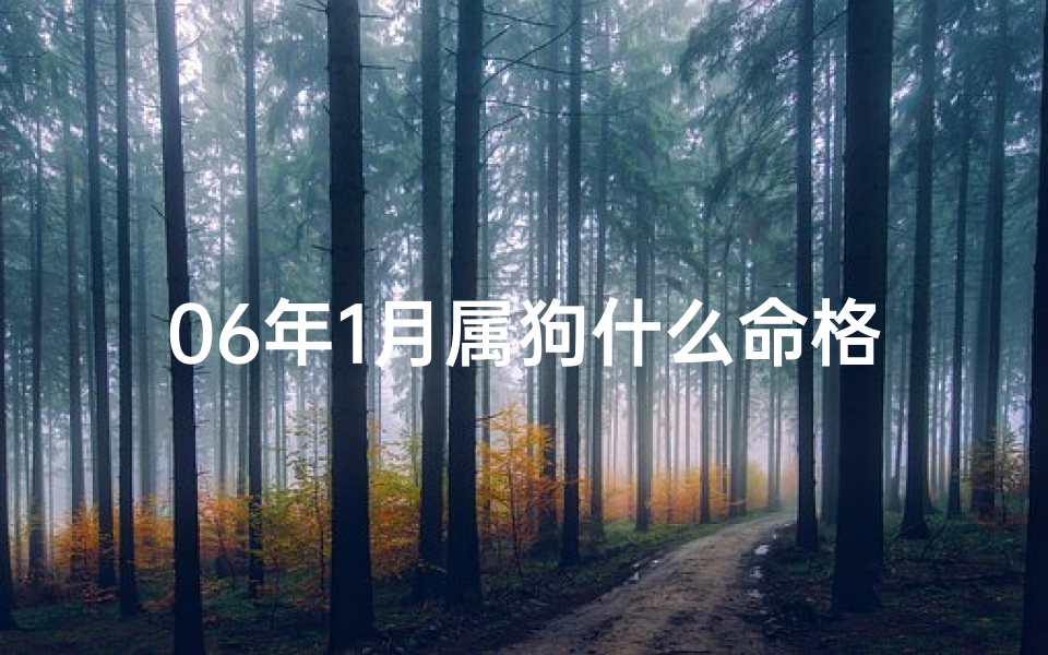 06年1月属狗什么命格—《06年属狗命格揭秘:探寻你的命运密码》