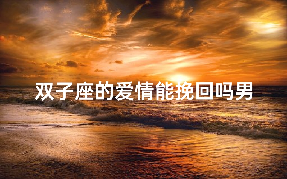 双子座的爱情能挽回吗男生