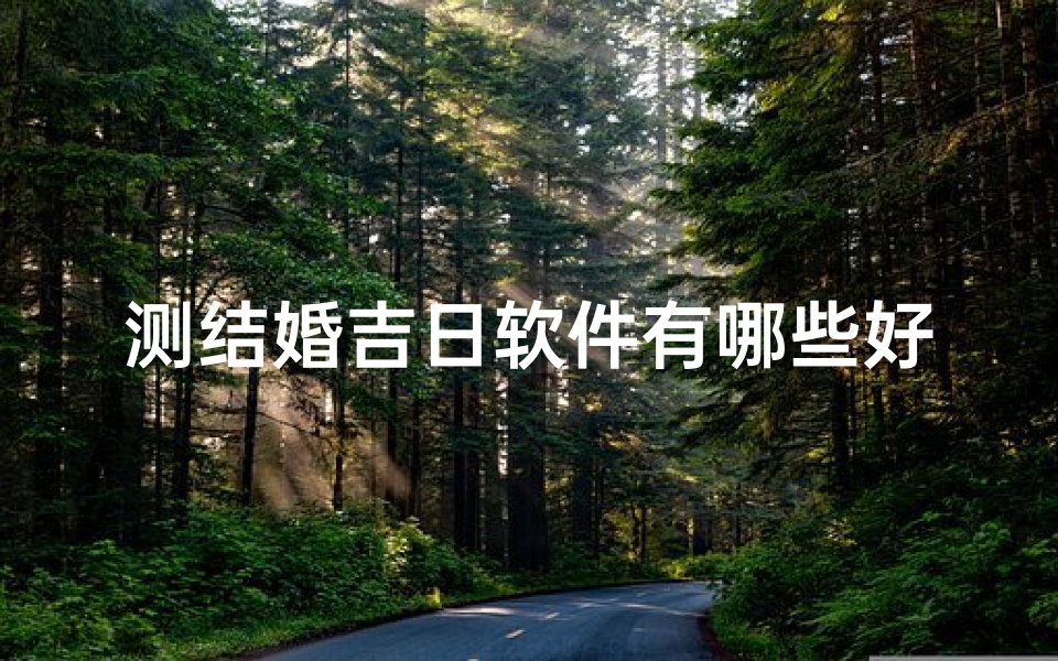 测结婚吉日软件有哪些好用
