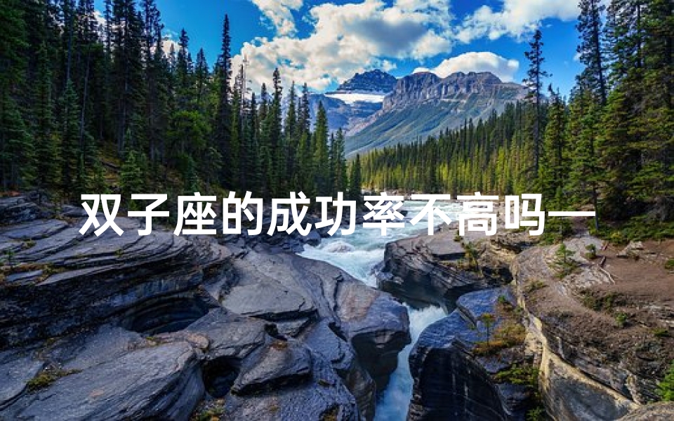 双子座的成功率不高吗—双子座成功率不高之谜揭秘