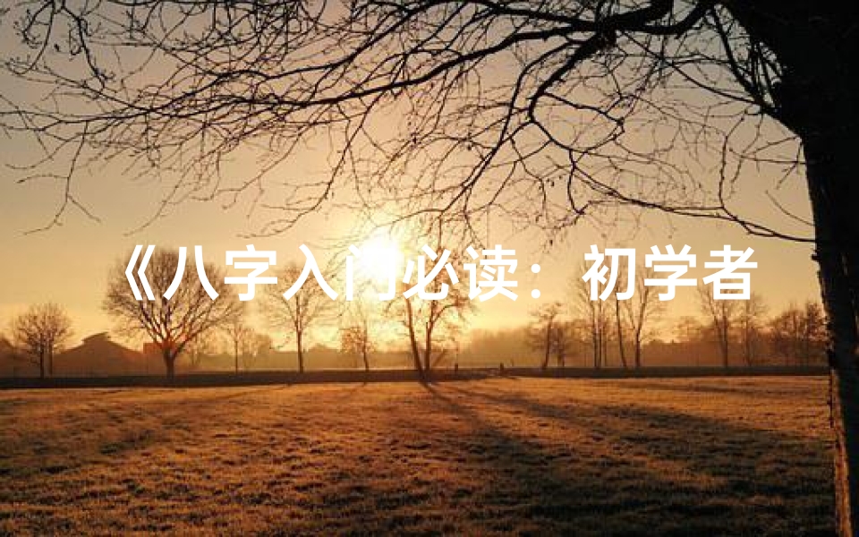 《八字入门必读:初学者八字命理书籍精选指南》