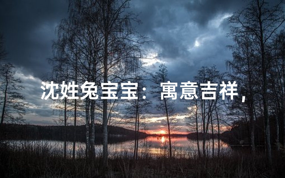 沈姓兔宝宝:寓意吉祥,萌动春意