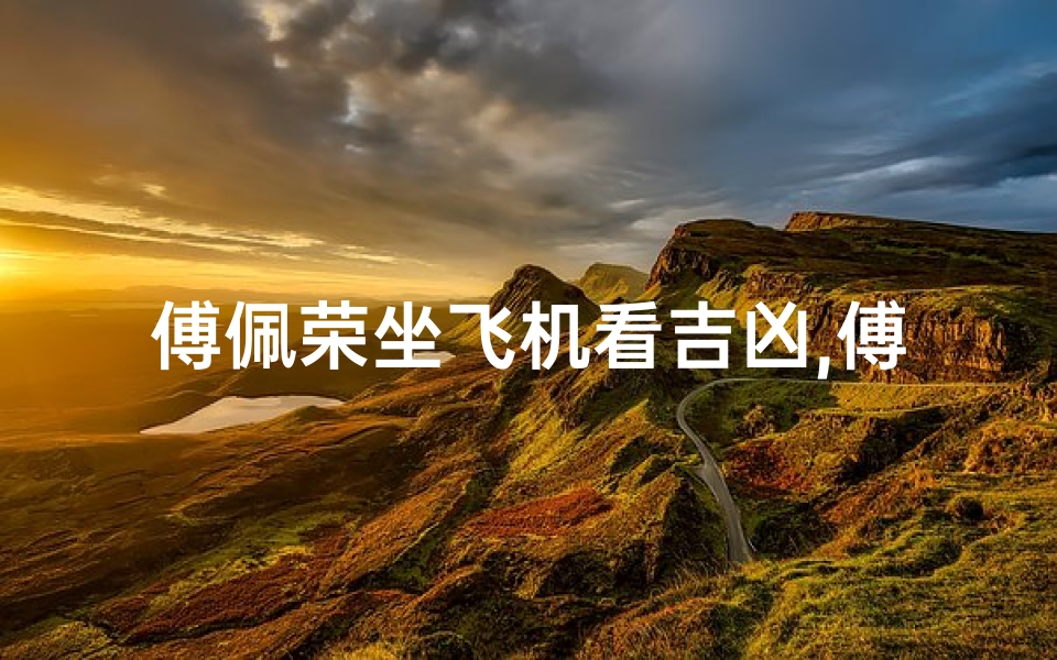 傅佩荣坐飞机看吉凶,傅佩荣空中观吉凶:飞机上的神秘预言