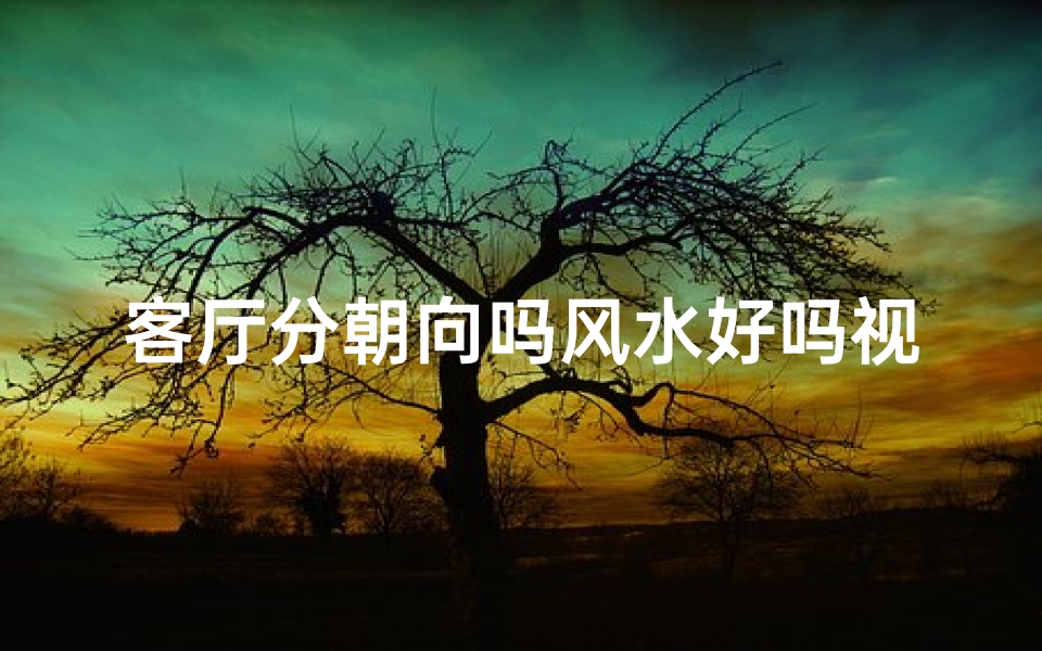 客厅分朝向吗风水好吗视频,客厅分朝向风水究竟好吗？揭秘家居布局秘诀