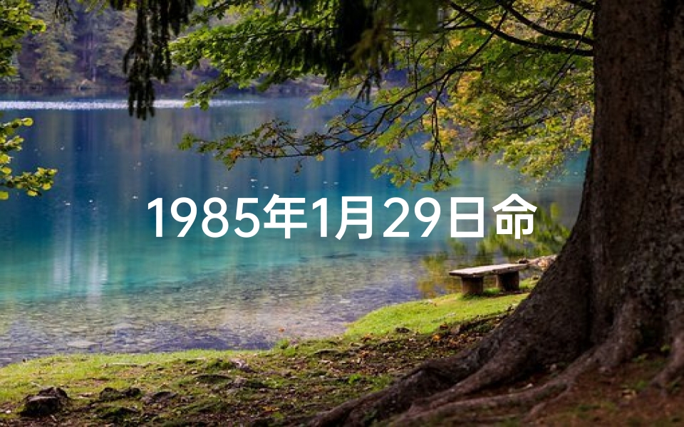 1985年1月29日命格-1985年1月29日命格:揭秘独特命运日