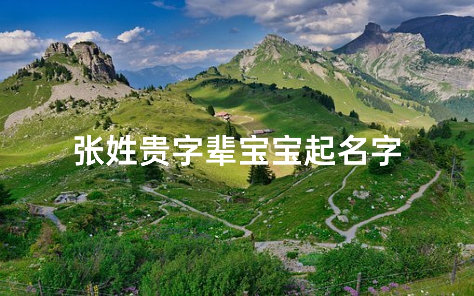 张姓贵字辈宝宝起名字