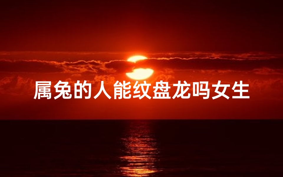 属兔的人能纹盘龙吗女生