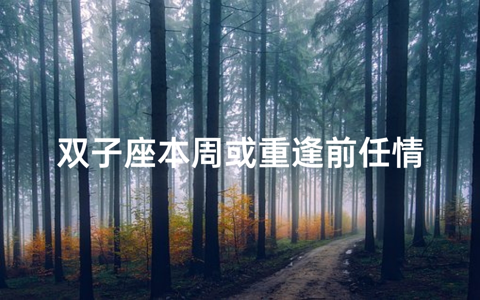 双子座本周或重逢前任情缘
