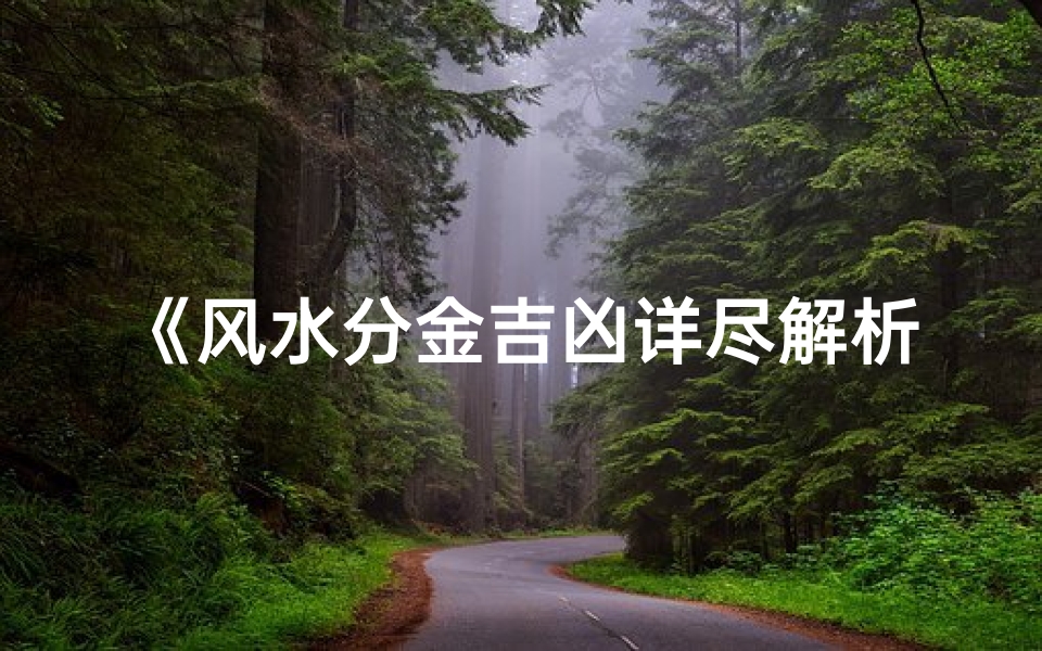 《风水分金吉凶详尽解析:图解视频揭秘》
