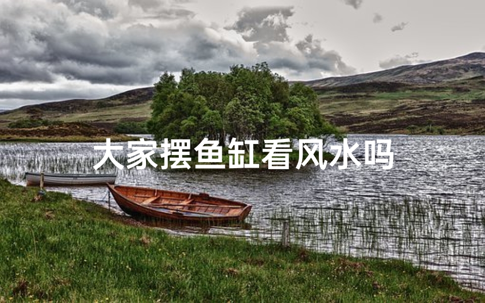 大家摆鱼缸看风水吗