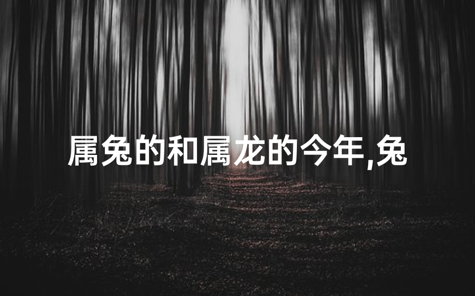 属兔的和属龙的今年,兔跃龙腾,2023:属兔属龙人的新篇章