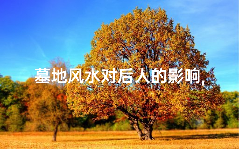 墓地风水对后人的影响,是否有科学依据(墓地风水揭秘:如何对大道?)