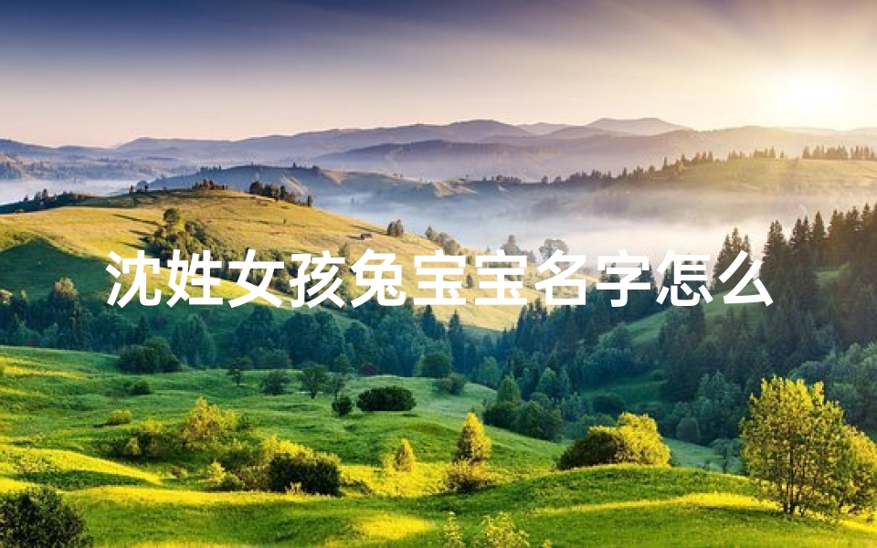 沈姓女孩兔宝宝名字怎么取