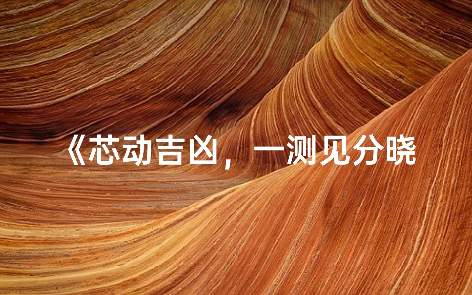 《芯动吉凶,一测见分晓》