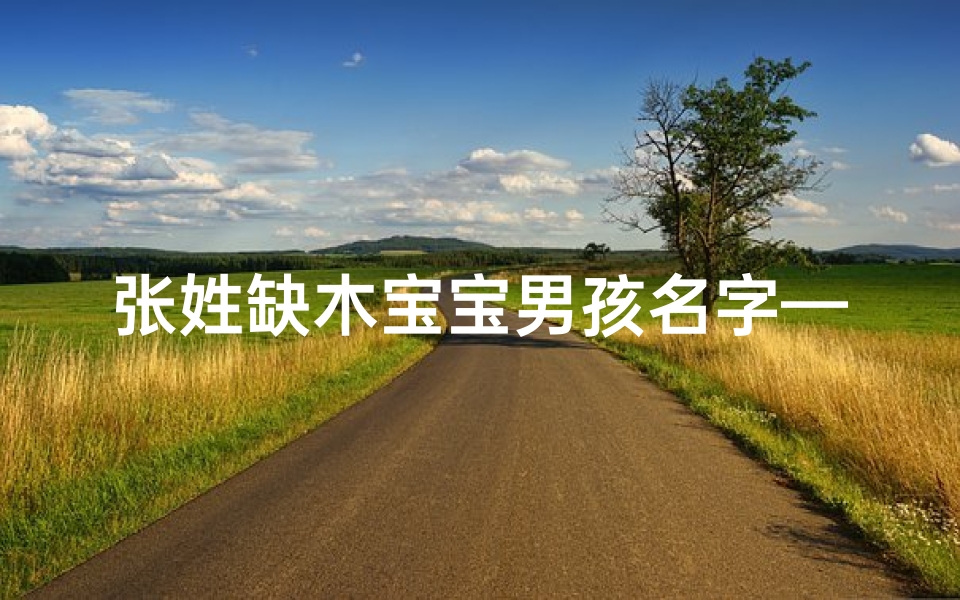 张姓缺木宝宝男孩名字—张姓缺木宝宝男孩,寓意吉祥的名字推荐